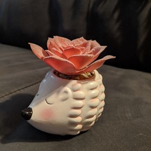 Faux succulent in hedgehog pot